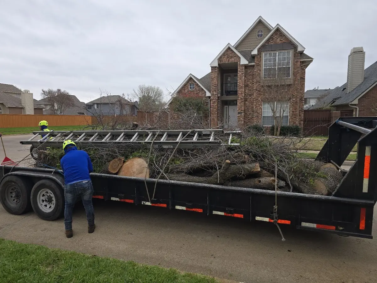 Expert Lot Clearing with proper safety equipment in Randall